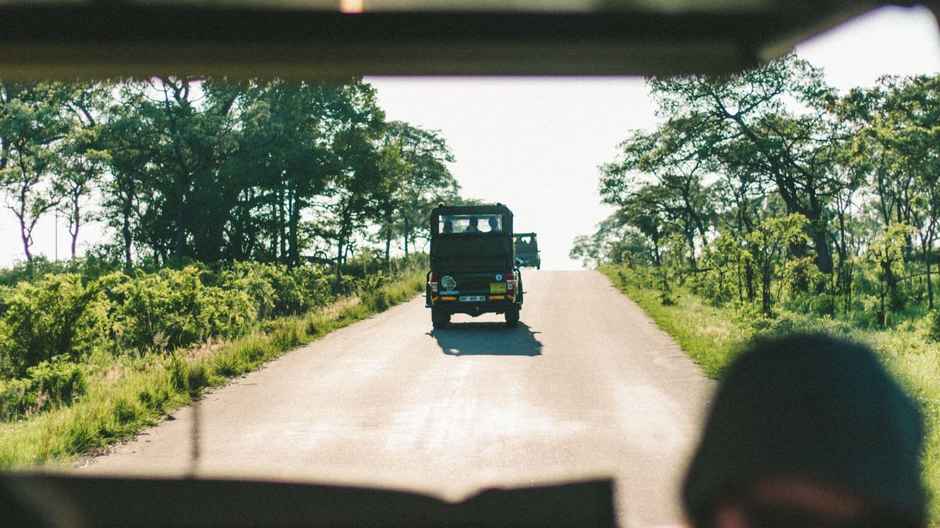 Kruger Lodge Experience: Your Gateway to South Africa’s Wildlife Paradise