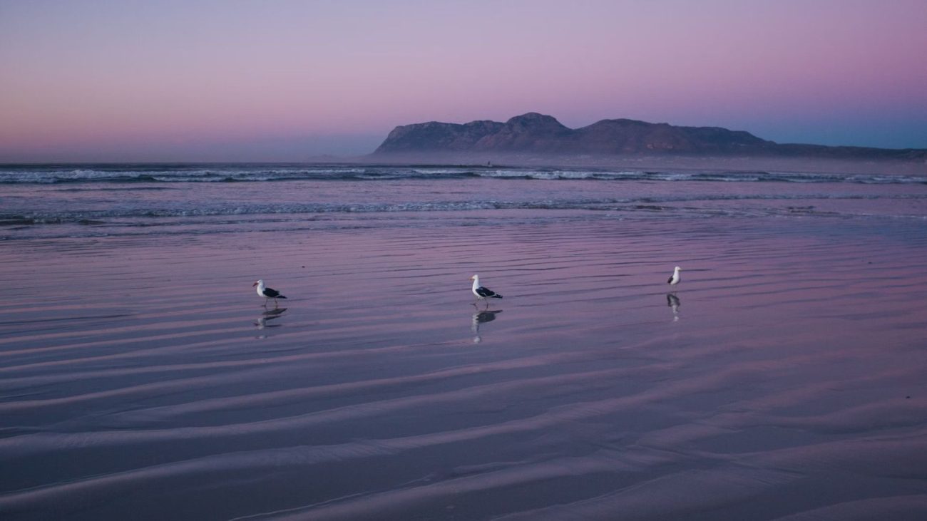 7-relax-on-pristine-beaches-and-coastal-retreats-1300x731.jpg