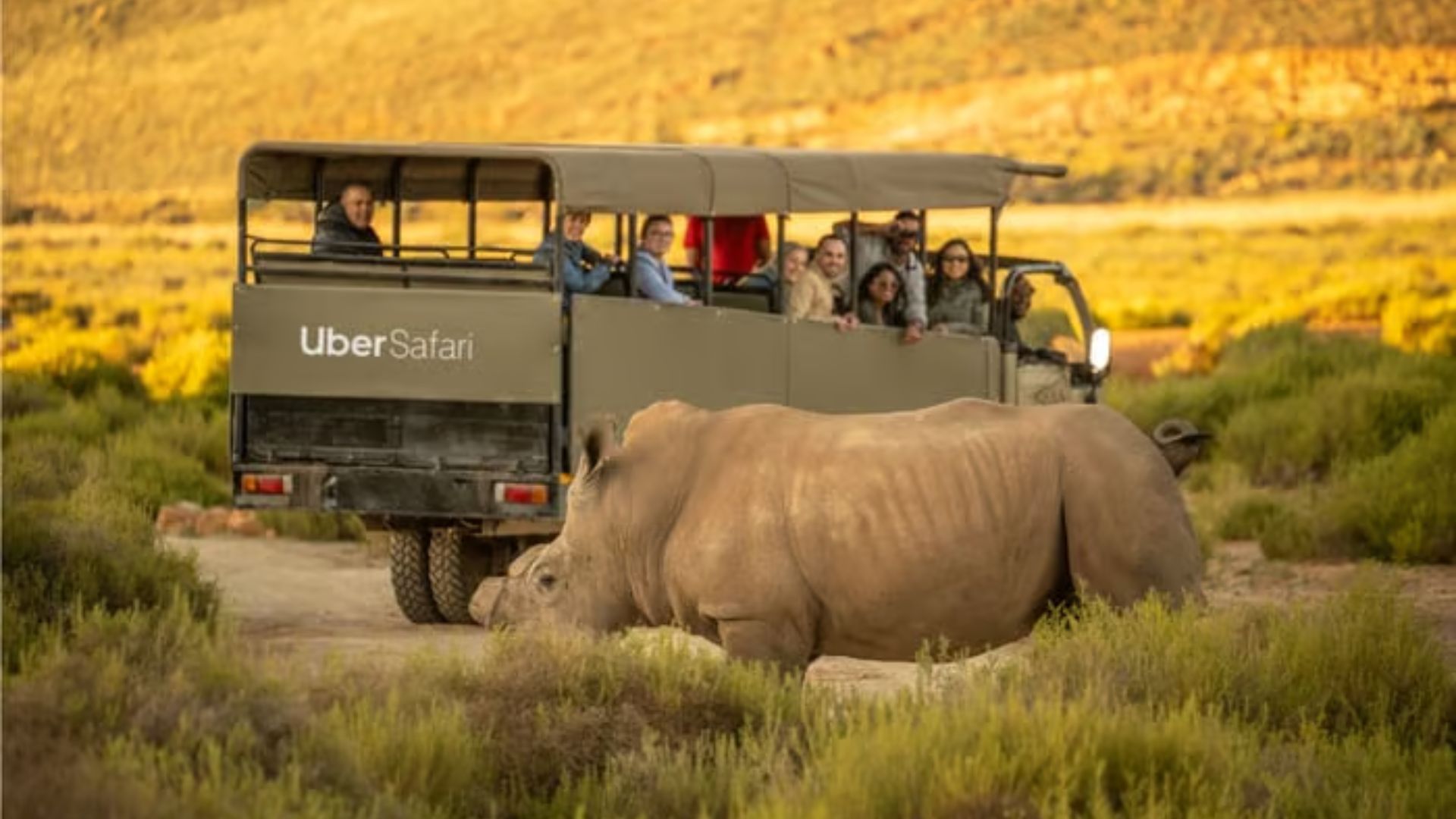 the-safari-experience-unpacked.jpg